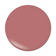 Load image into Gallery viewer, Embrace

